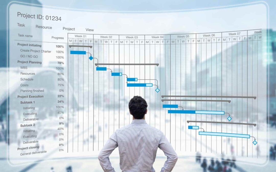 Program manager e project manager: ecco le differenze